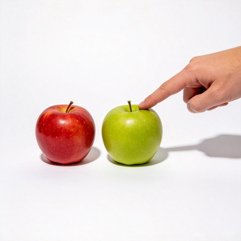 latter 含义图解：手指指向两个苹果中的后者