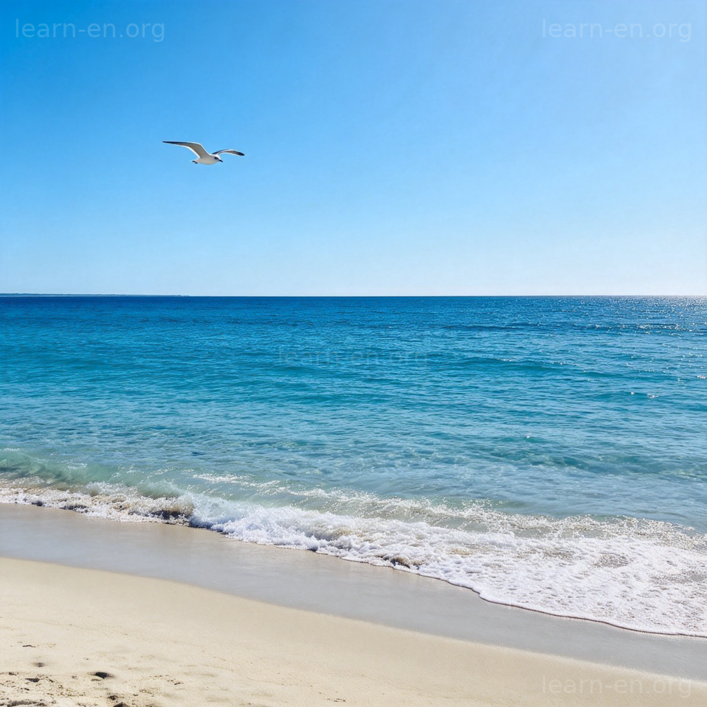 A wide, beautiful beach with gentle waves lapping at the shore. The vast, blue ocean stretches to meet the sky at the horizon. A single seagull flies overhead. Bright, sunny day, clear water. No people or text in the image.