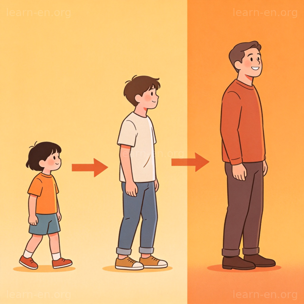 phase 含义图解：人生不同成长时期的视觉化展示