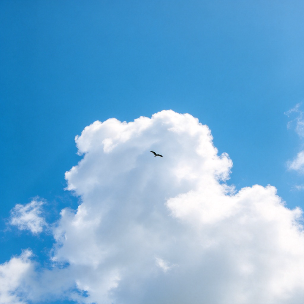 sky 天空图解：广阔蓝天白云，飞鸟掠过，展现自然天空景象