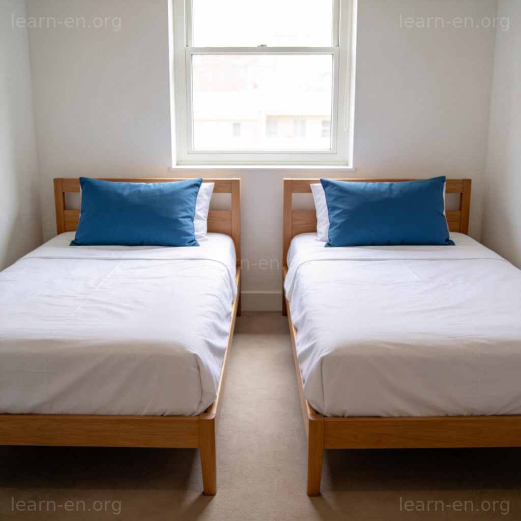twin 成对含义图解：两张一模一样的单人床并排放置